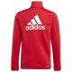 Adidas Παιδικές φόρμες σετ Essentials Big Logo Track Suit